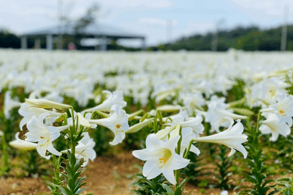 TSUMUGU_写真③-1